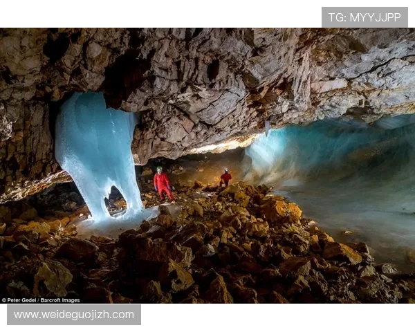 乐投体育官网最新赛事资讯和专业分析帮助玩家把握游戏动态提升竞技水平